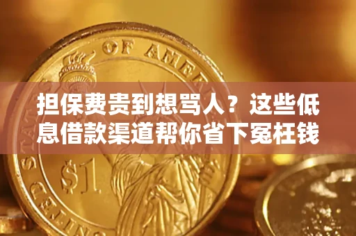 济南担保费贵到想骂人？这些低息借款渠道帮你省下冤枉钱