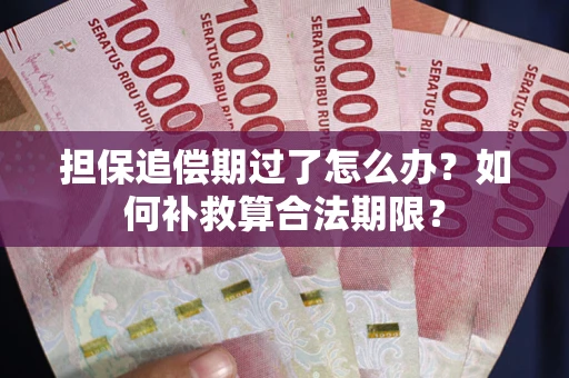 济南担保追偿期过了怎么办？如何补救算合法期限？